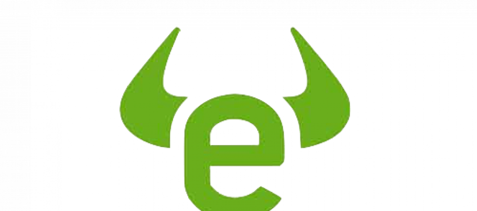eToro Exchange Logo